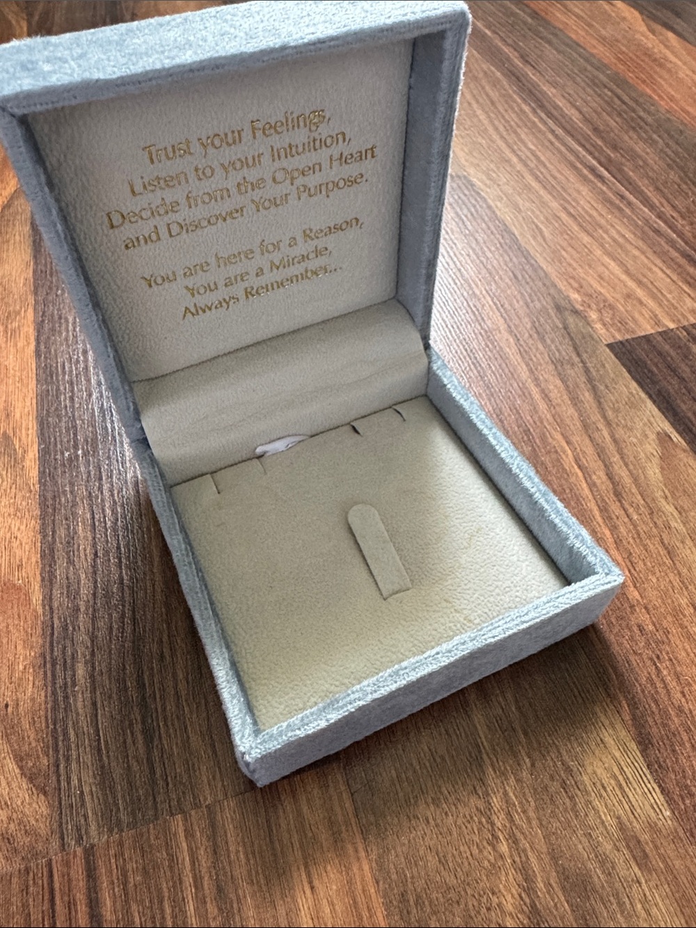 Velvet Jewelry Ring Box in Light Blue with Cream Interior